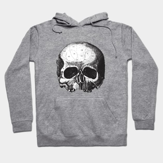 Black Label Society Hoodie by Colin Irons